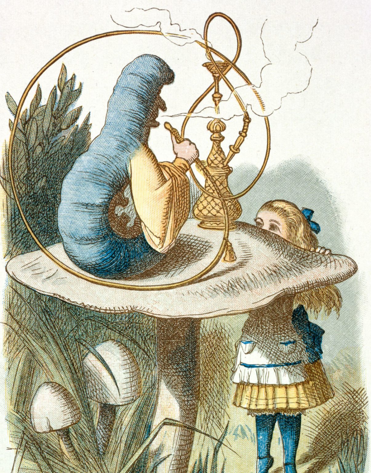 Contrôle De Lecture Alice Au Pays Des Merveilles 5eme